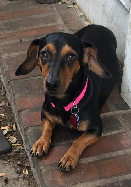 Audrey
