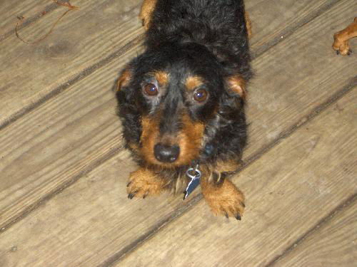 Bentley