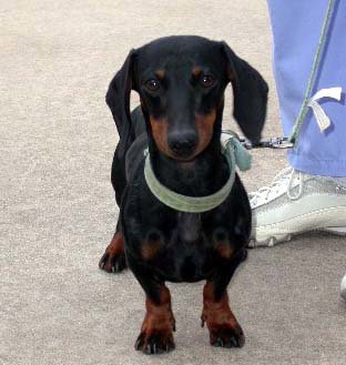 Buster