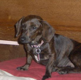 Molly