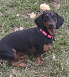 Ellie