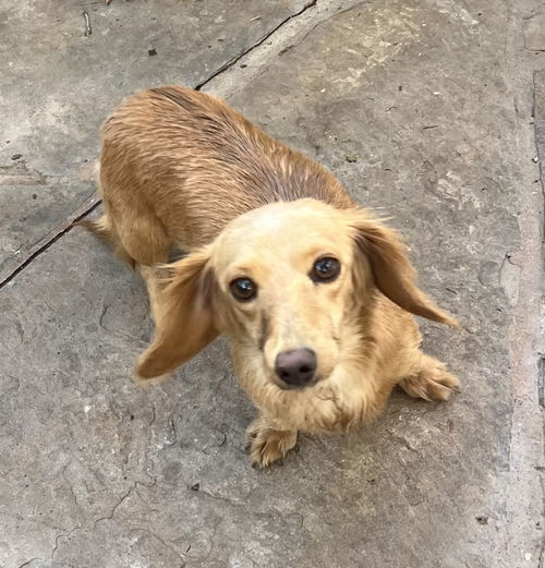 Sadie