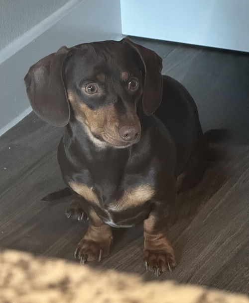 Charlie