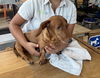 Pepito 