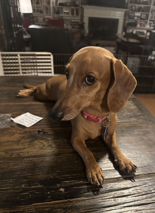 Freya
