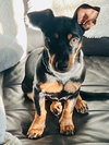 Jack