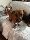 Lilo