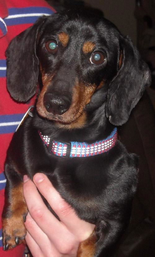 Shiloh