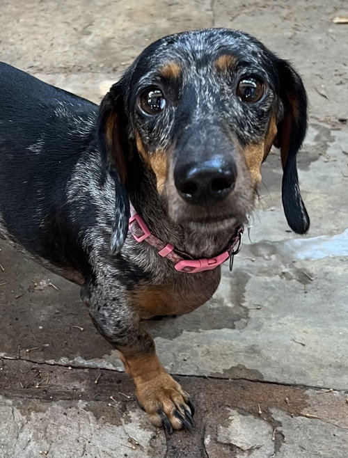 Ruby