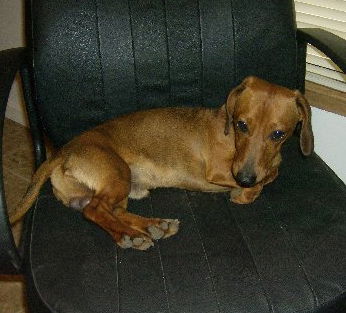 Axel