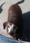 Riley