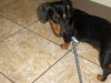 Lilly