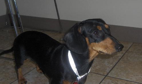 Lilly
