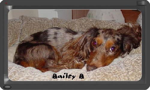 Bailey