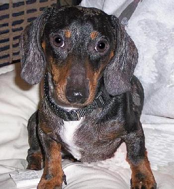 Samson