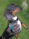 Samson