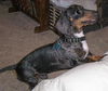 Samson