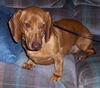 Axel