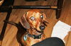 Oscar
