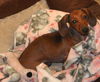 Princess Grace