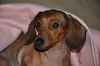 Princess Grace