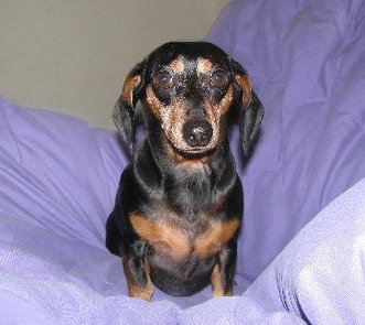 Lucille