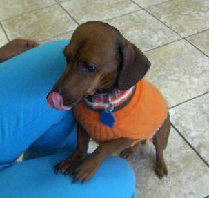 Buster