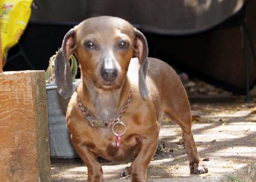 Juno