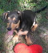 Bennie