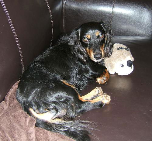 Jimmy Dean