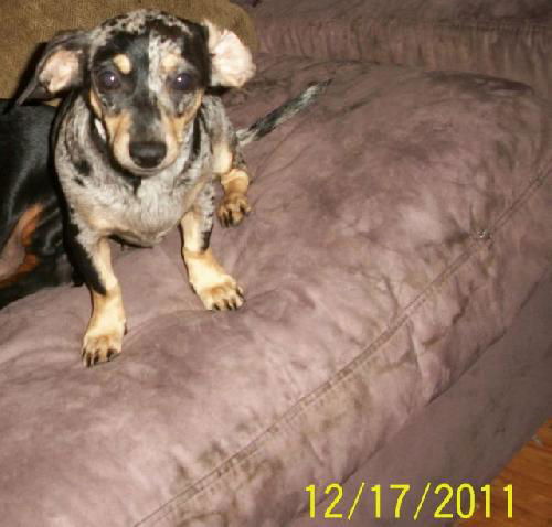 Bessie