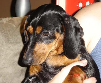 Betty
