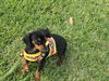 Lillian