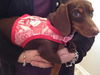 Zoey