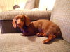Zoey