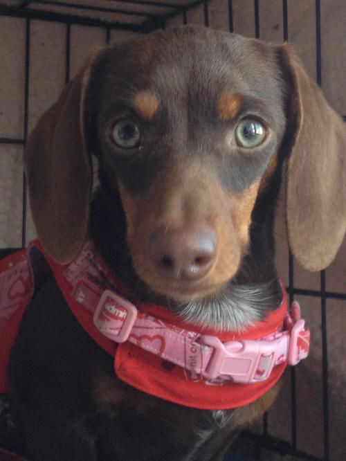 Zoey