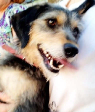 Lucy
