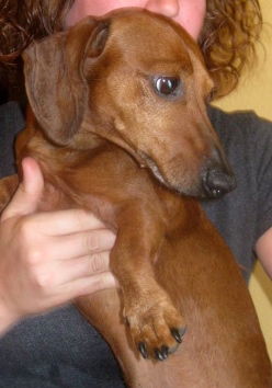Axel