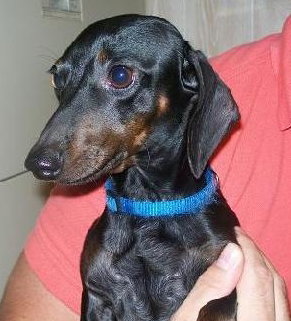 Luchiano