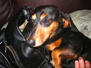 Murphy
