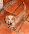Ruthie