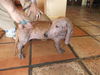 Ruthie