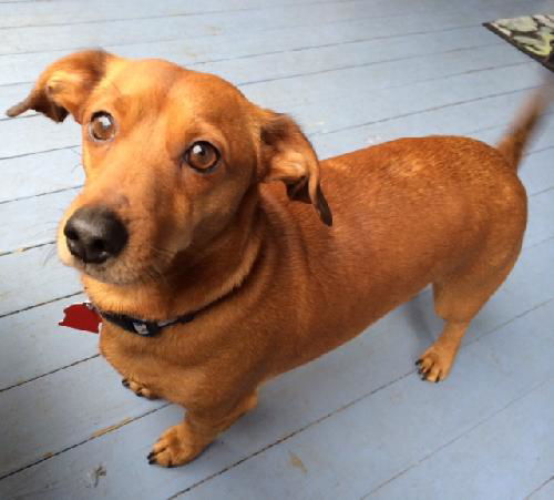 Barkley