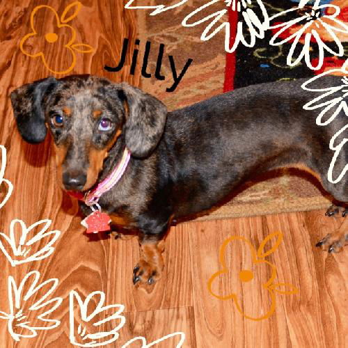 Jilly