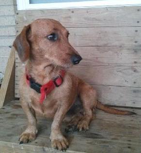 Rusty