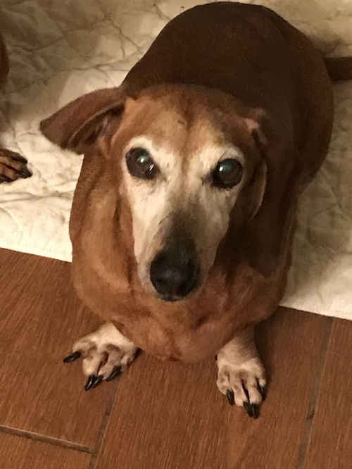 Oscar