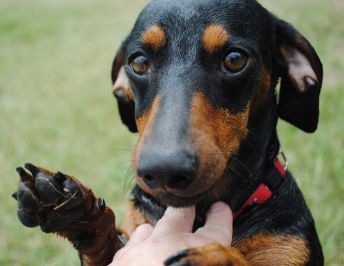 Benny