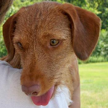 Duke