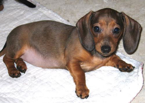 Ruthie