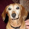 Sally